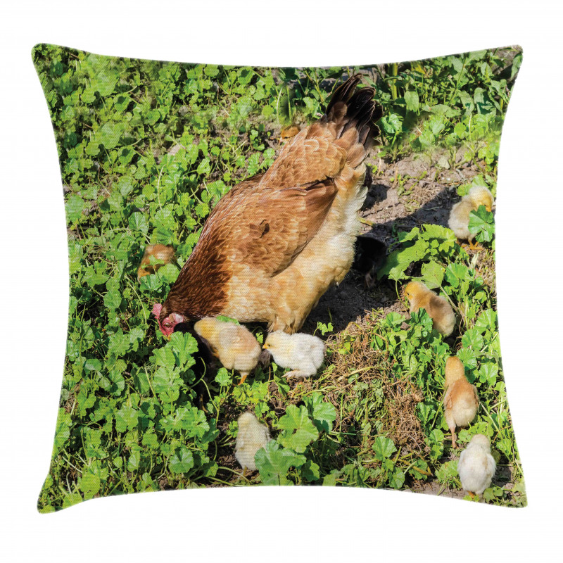 Animals on Shamrocks Pillow Cover