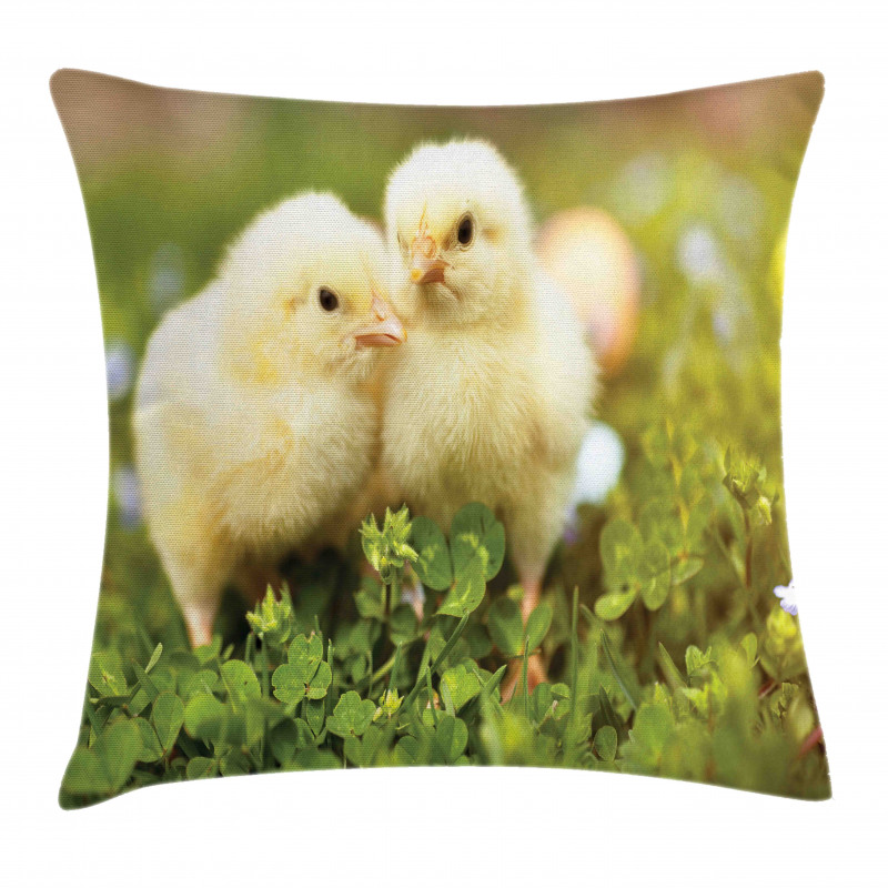 Baby Chickens Photo Pillow Cover