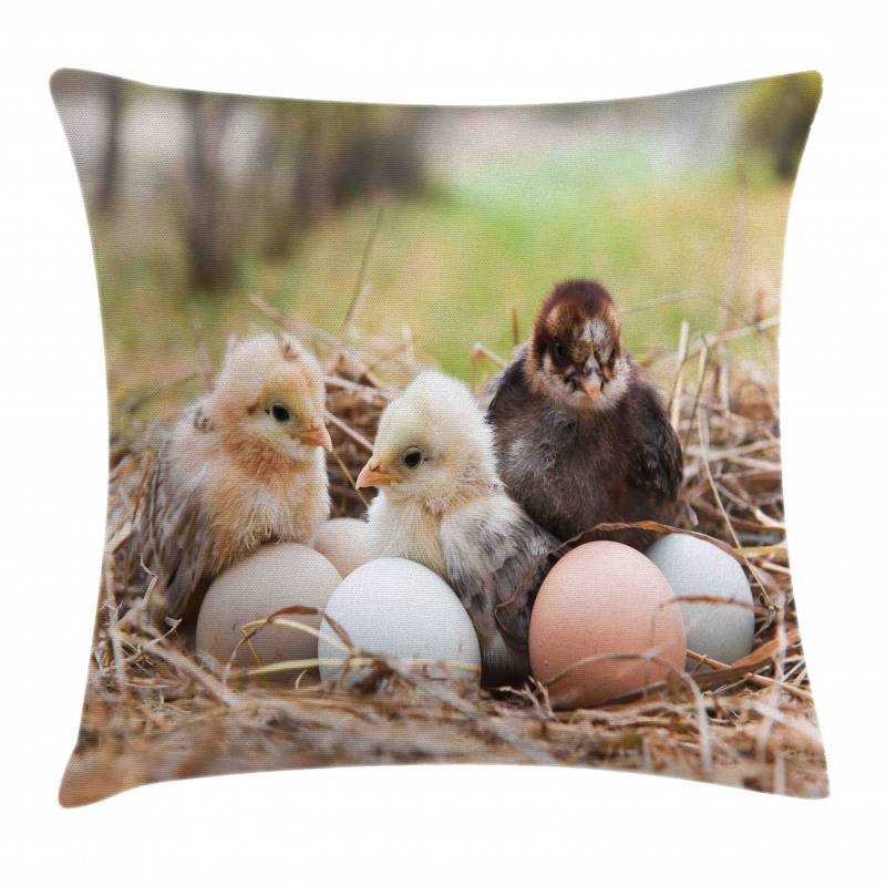 Little Chickens in Hay Eggs Pillow Cover