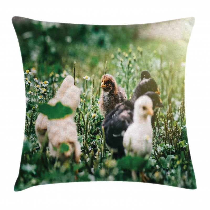 Little Chickens in Daisies Pillow Cover