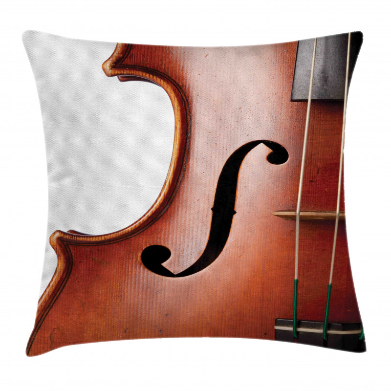 Macro Instrument Photography Pillow Cover