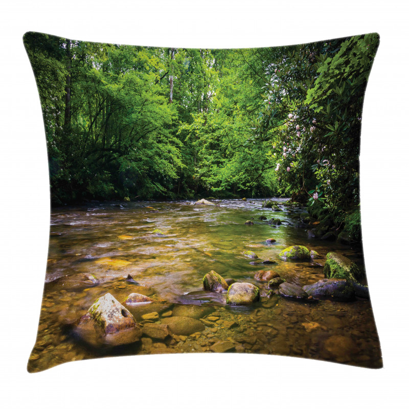 Oconaluftee River Photo Pillow Cover