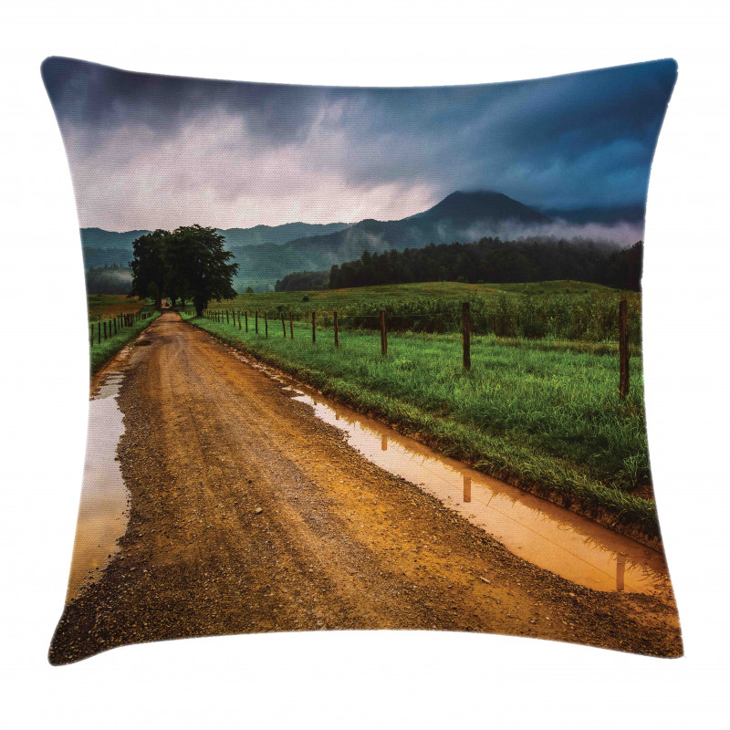 Puddles on Dirt Road Pillow Cover