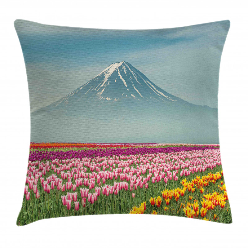 Colorful Japanese Tulips Field Pillow Cover