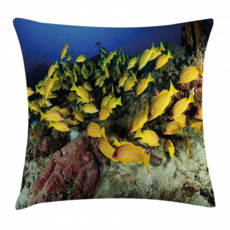 Tropical Fish Coral Reef Pillow Cover