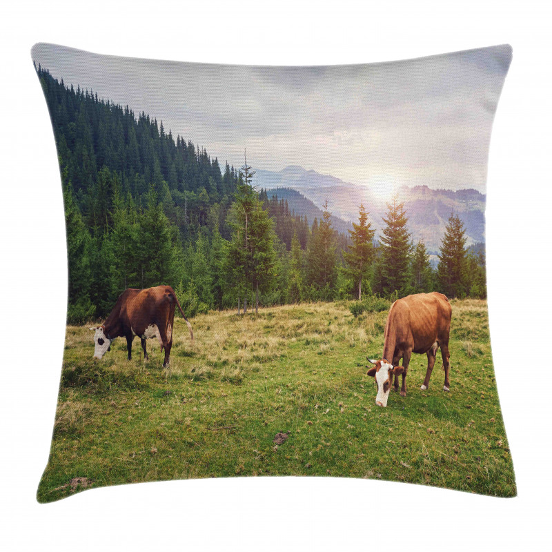 Cows Grazing in Meadow Pillow Cover