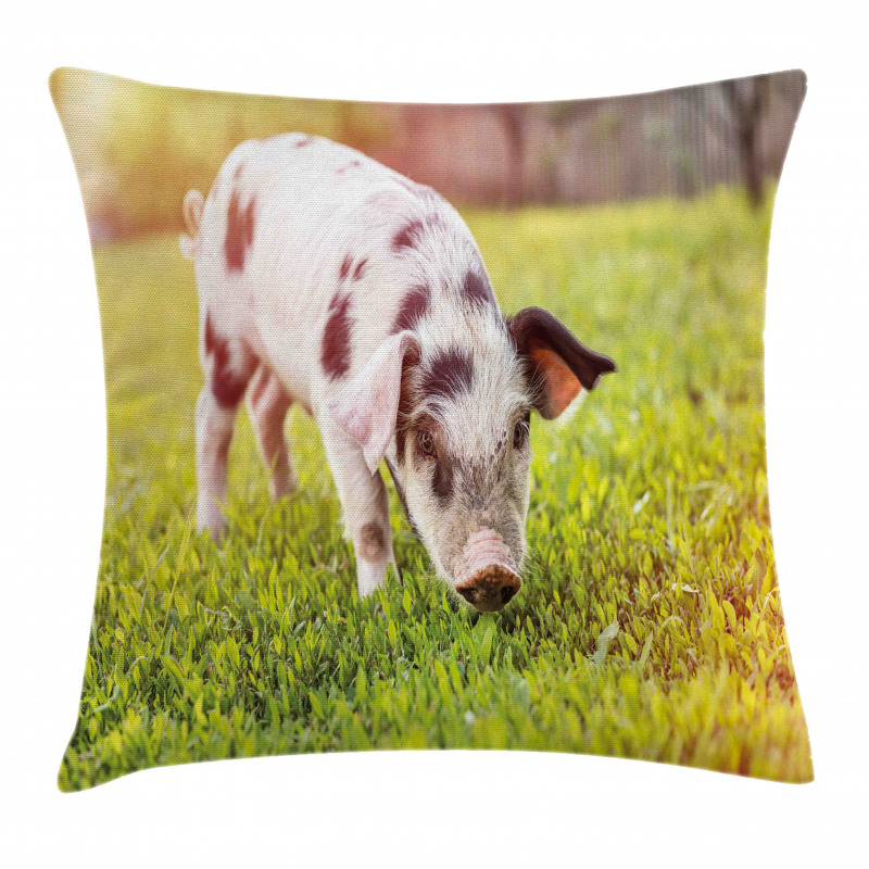 Baby Pig with Spots Pillow Cover