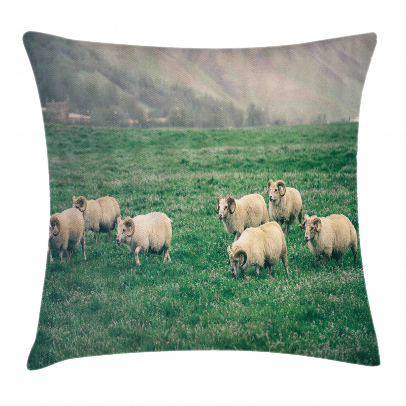 Sheep Grazing on Grass Pillow Cover