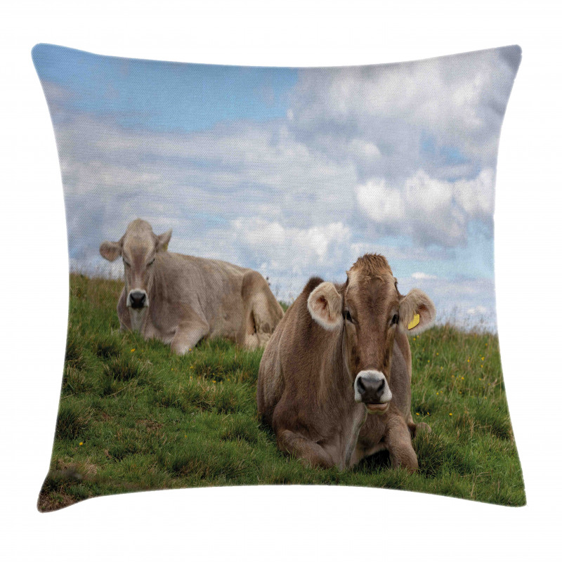 Resting Cows and Sky Pillow Cover