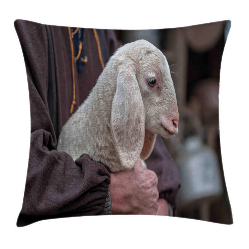 Baby Lamb Old Man Pillow Cover