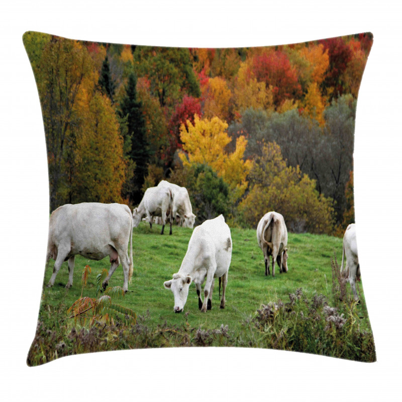 Cows on Autumn Hill Pillow Cover