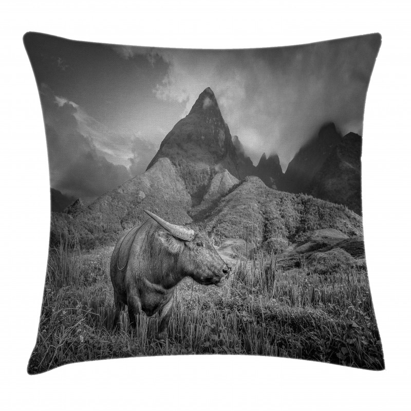 Buffalo on Rice Fields Pillow Cover