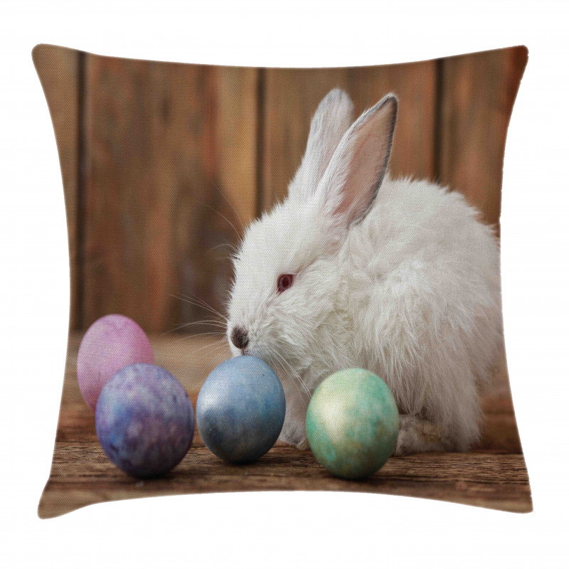 Rustic Egg Coloring Pillow Cover