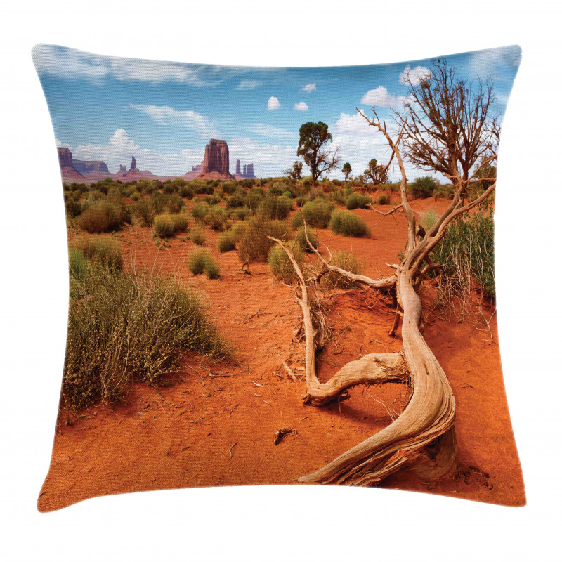 Arizona Valley Scenery Pillow Cover