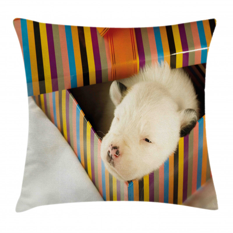 Newborn Dog in Gift Box Photo Pillow Cover