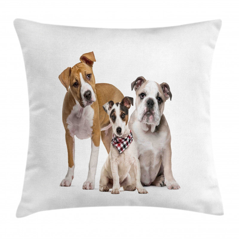 Funny Various Breeds of Dogs Pillow Cover