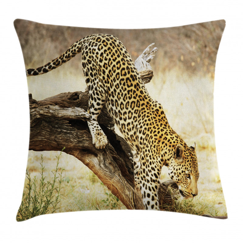 Leopard Wild Cat on Tree Pillow Cover
