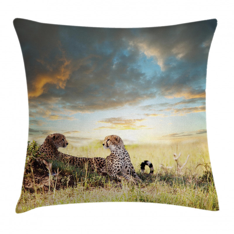 Dangerous Cheetahs in Africa Pillow Cover