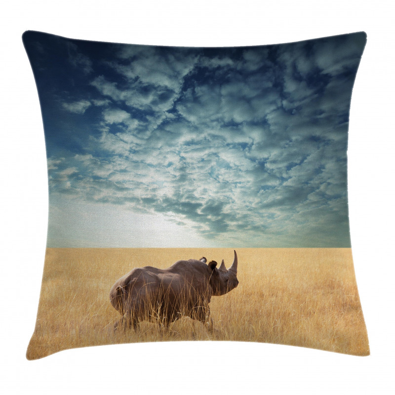 Rhino Dramatic Cloudy Sky Pillow Cover