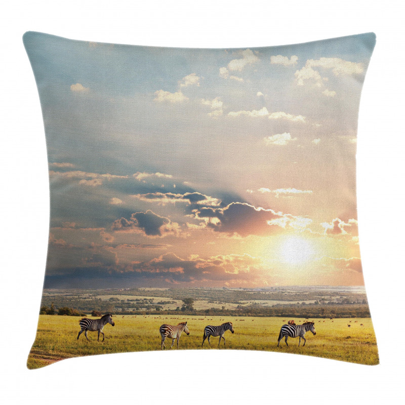 Zebras Exotic Natural Land Pillow Cover