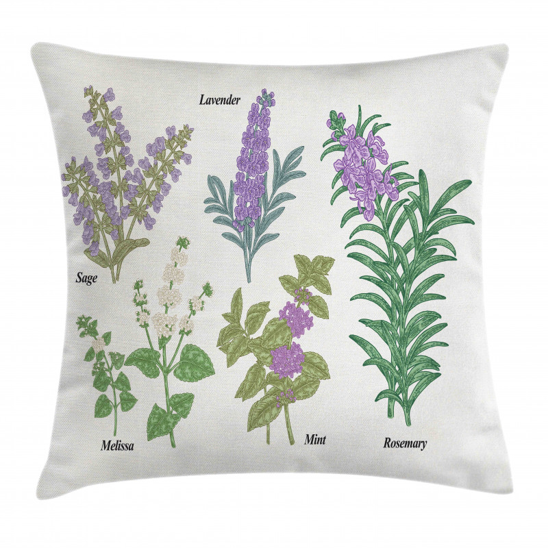 Botanical Infographic Plants Pillow Cover