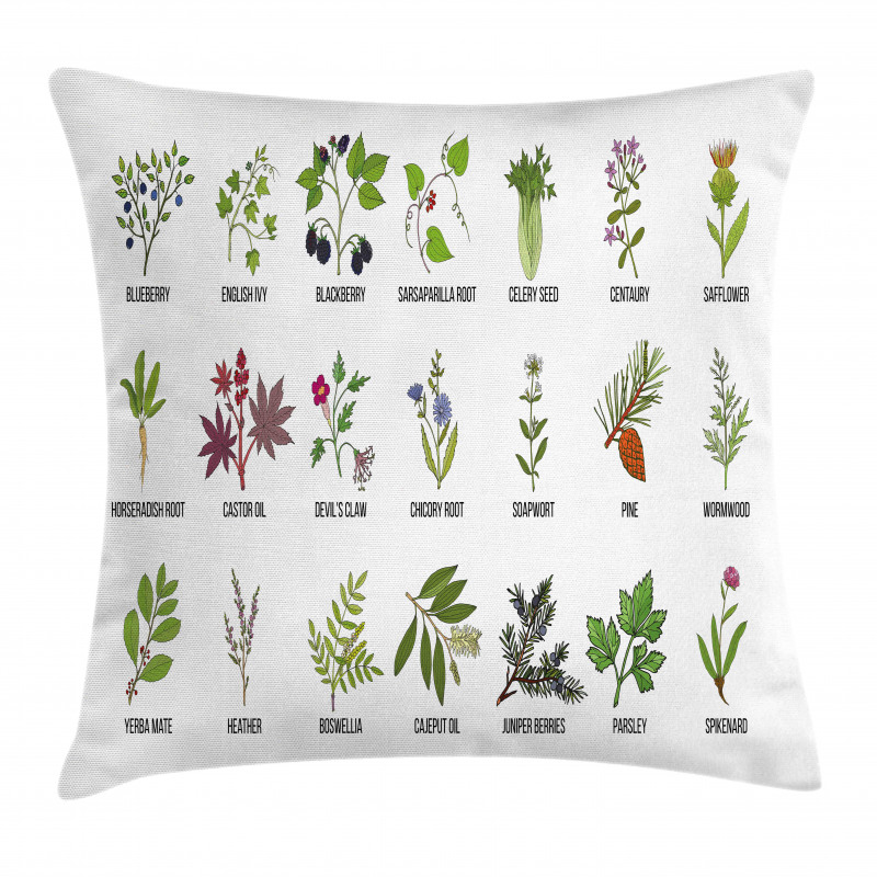 Natural Treatment Infographic Pillow Cover