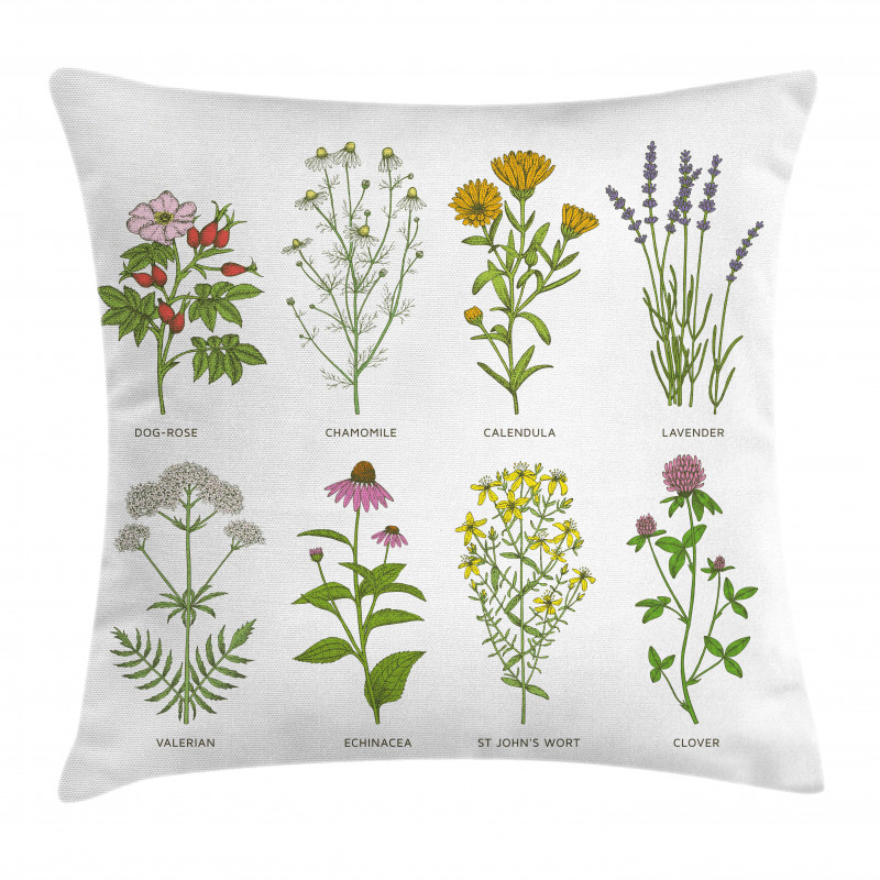 Natural Cosmetics Flowers Pillow Cover