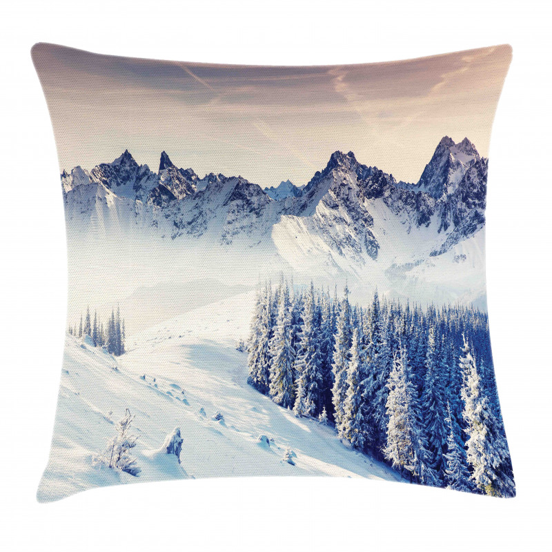 Snowy Winter View Pillow Cover