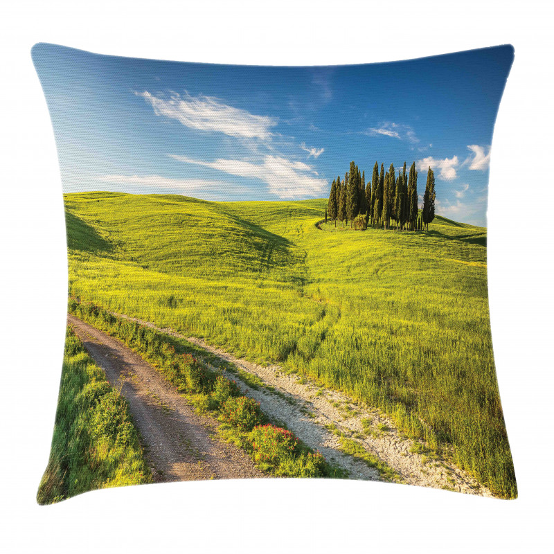 Tuscany Wildflowers View Pillow Cover