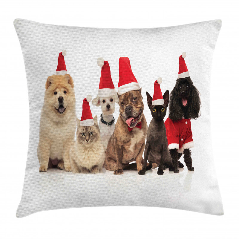 Team of Pets Panting Pillow Cover