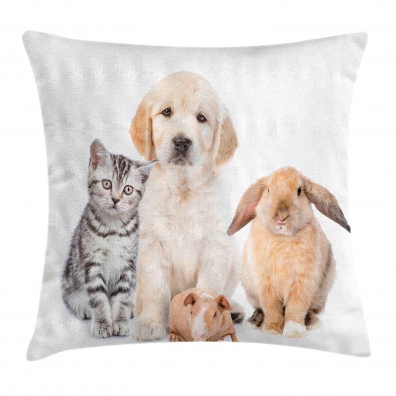 Bunny Piglet Staring Pillow Cover