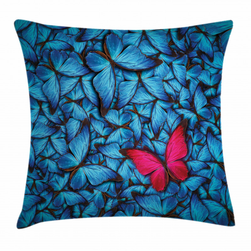 Large Bugs Lepidoptera Pillow Cover