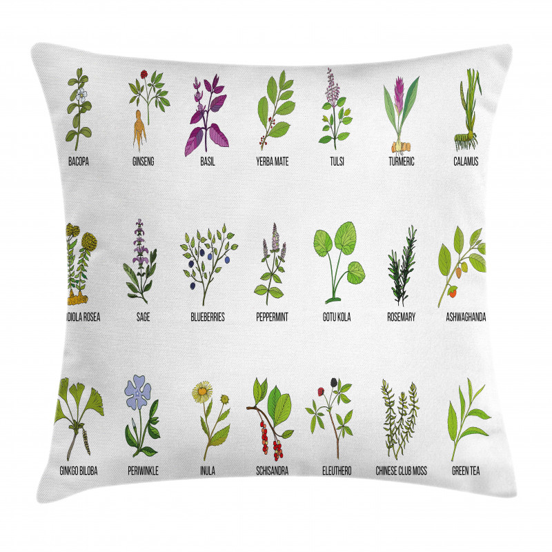 Educational Herbs Design Pillow Cover