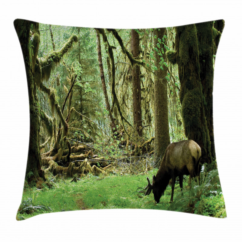 Roosevelt Elk in Park Pillow Cover
