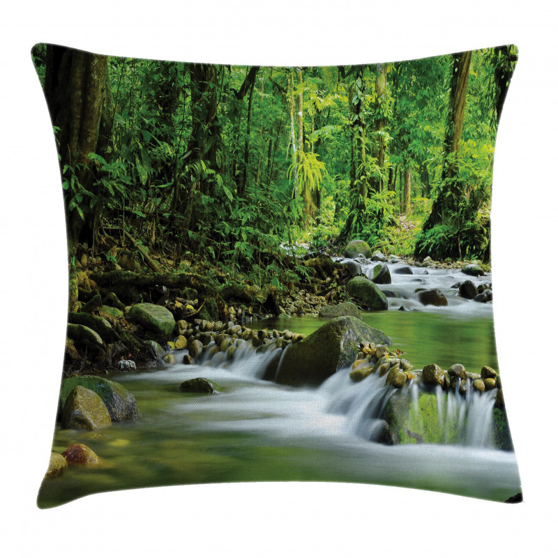 Tropic Mountain Stream Pillow Cover