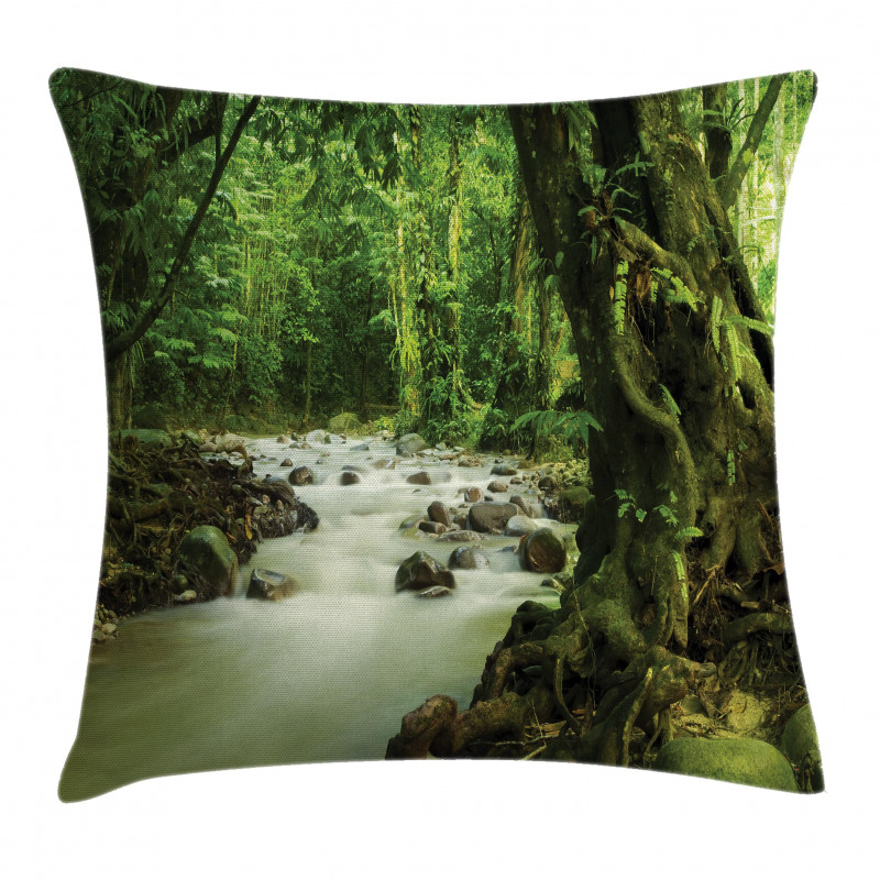 Selangor State Malaysia Pillow Cover