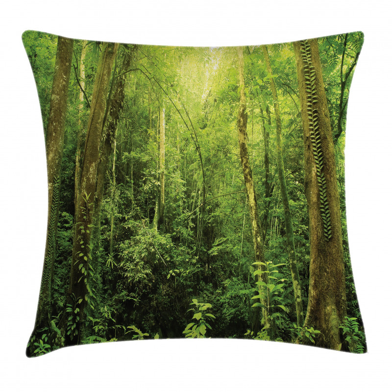 Rainforest Landscape Pillow Cover