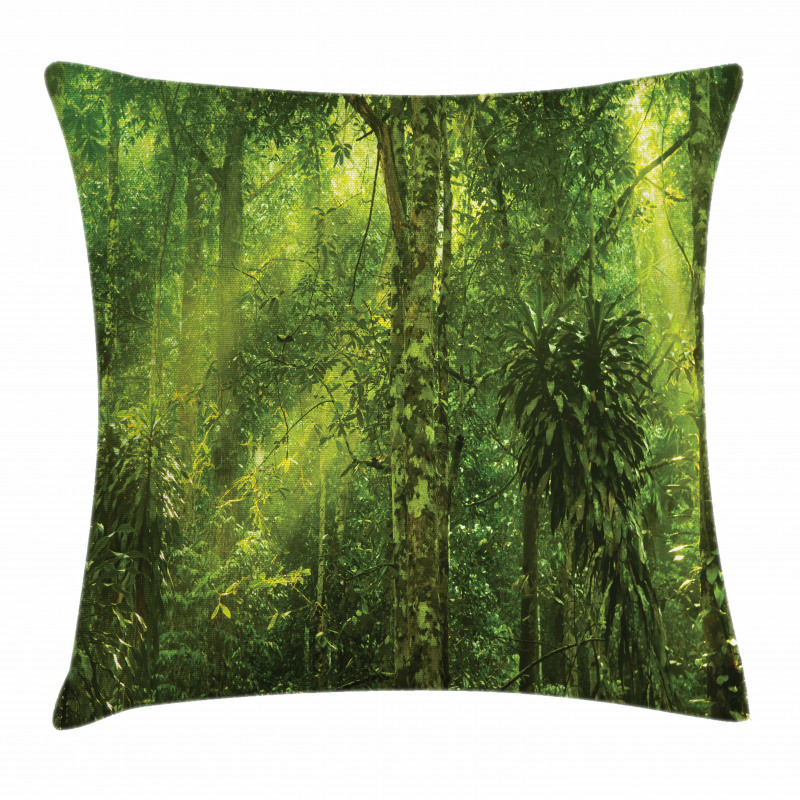 Sun Beams Tropic Forest Pillow Cover
