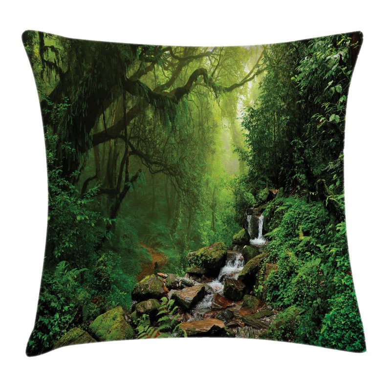 Spring in Nepal Footpath Pillow Cover