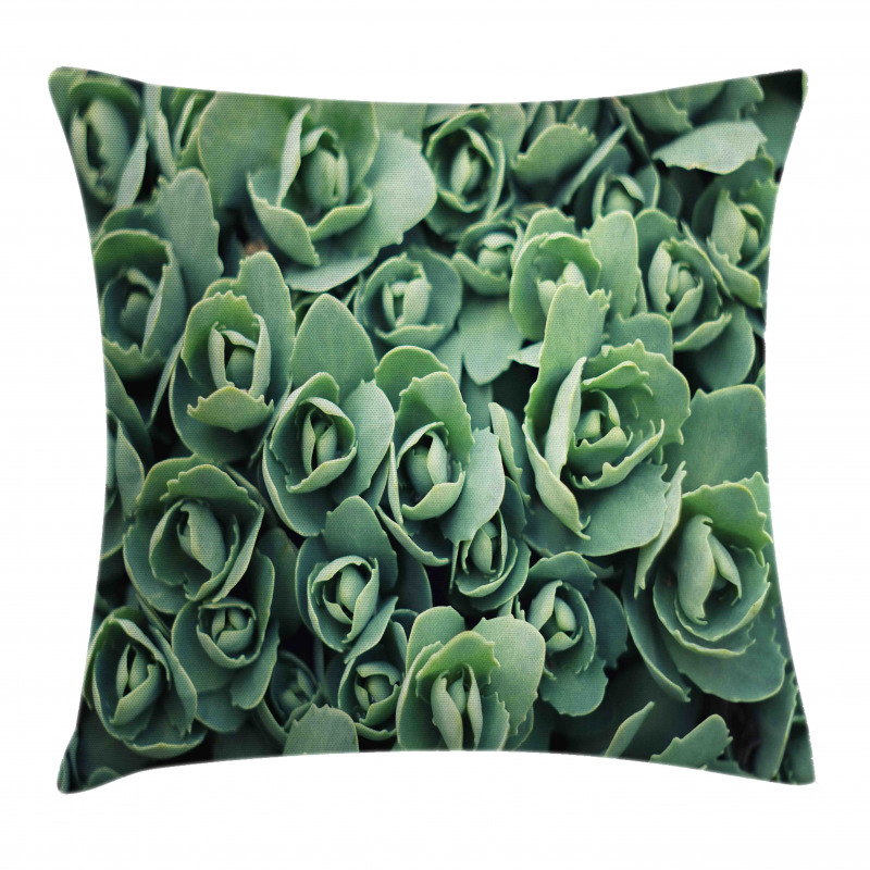 Macro Blooming Leaves Pillow Cover