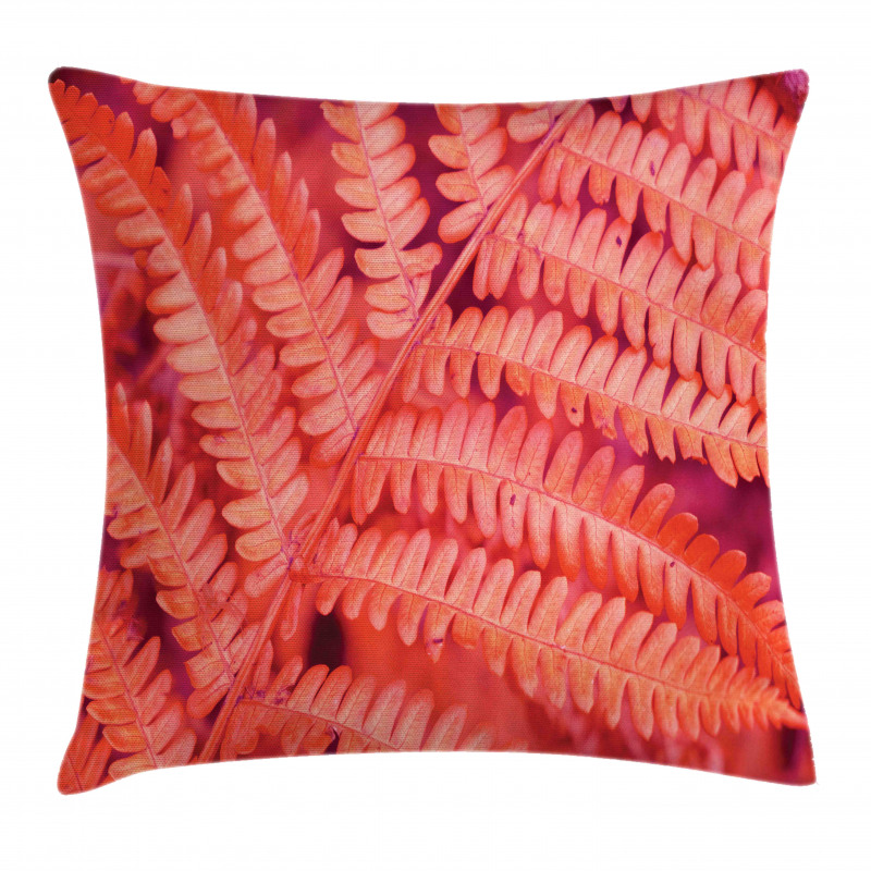 Close up Fern Leaf Pillow Cover