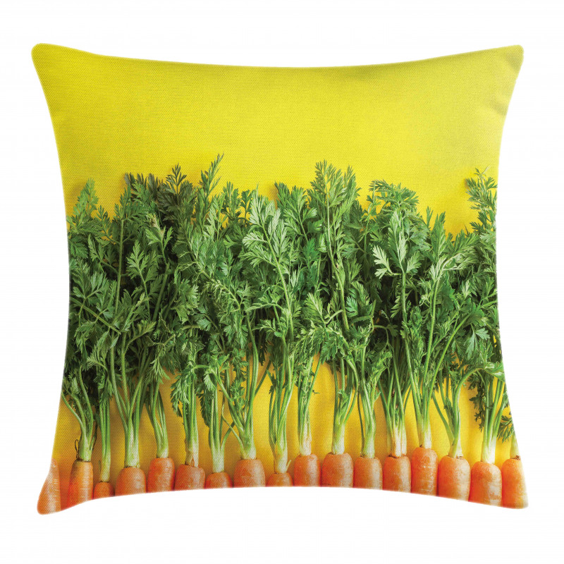 Carrots in a Row Art Pillow Cover