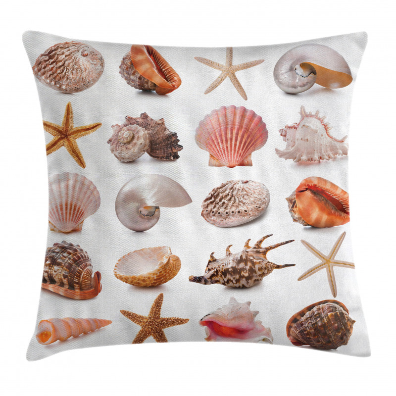 Mollusk Summer Holiday Pillow Cover