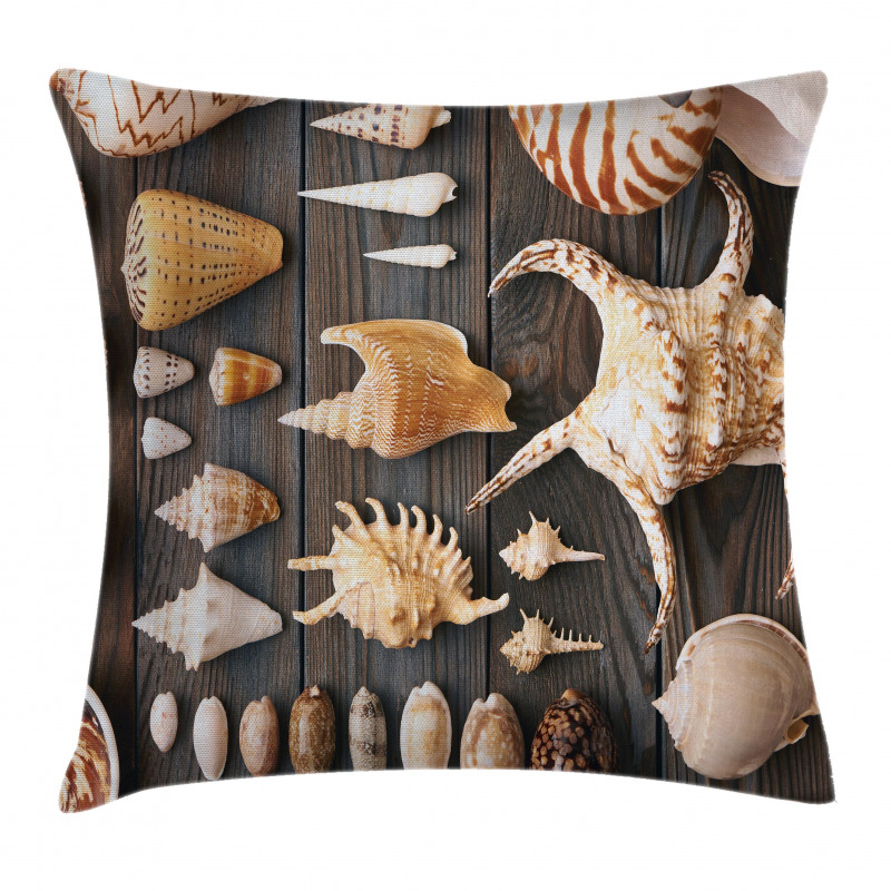 Countryside Beach Shell Pillow Cover
