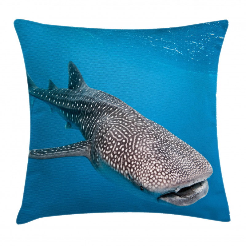 Swimming Whale Sea Pillow Cover