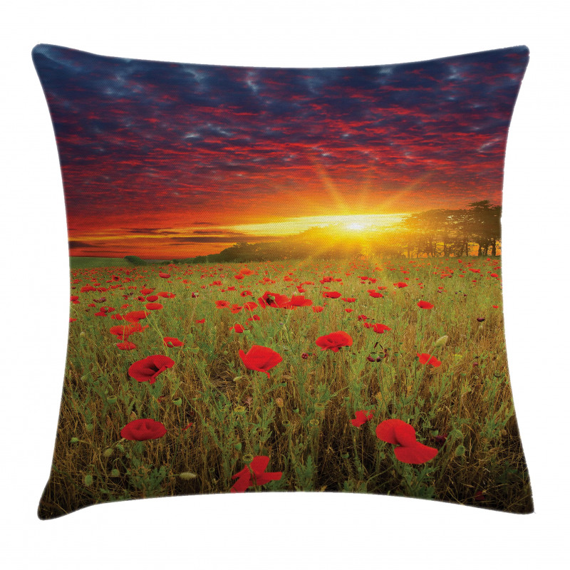 Meadow Poppies Sky Pillow Cover