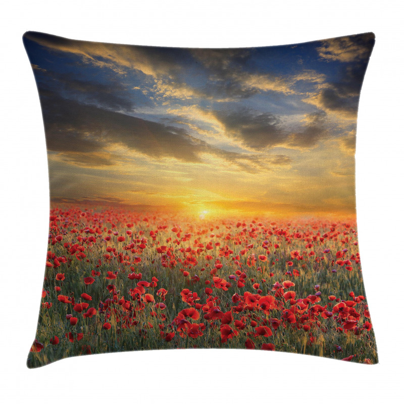 Scenic Field Sunset Sky Pillow Cover