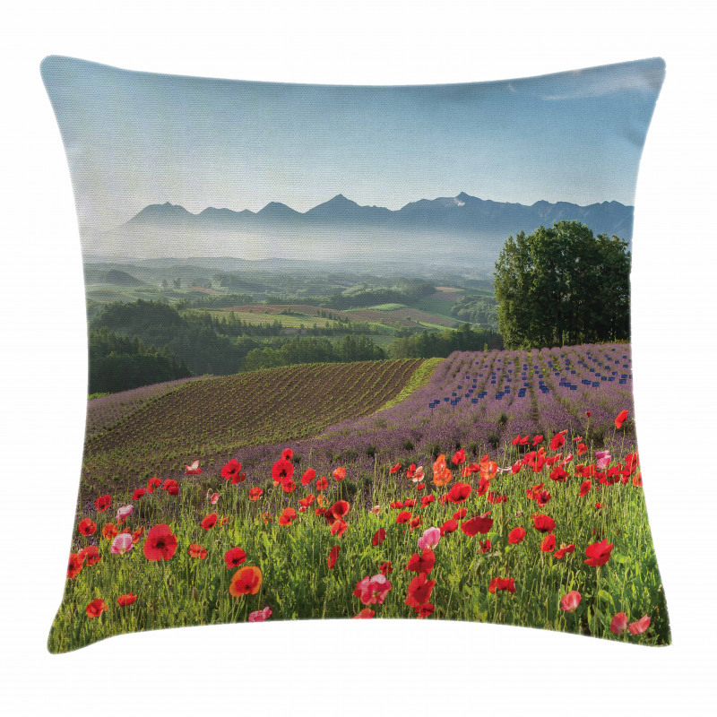 Lavender Farm Morning Pillow Cover