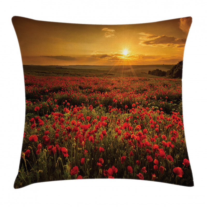 Sunset Meadow Farmland Pillow Cover