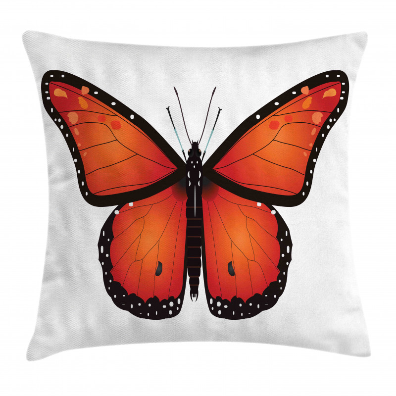 Big Monarch Breed Moth Pillow Cover